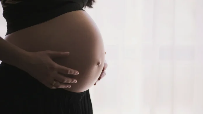 Dieta materna en el embarazo - Patrón dietético occidental - Asociación dieta y neurodesarrollo