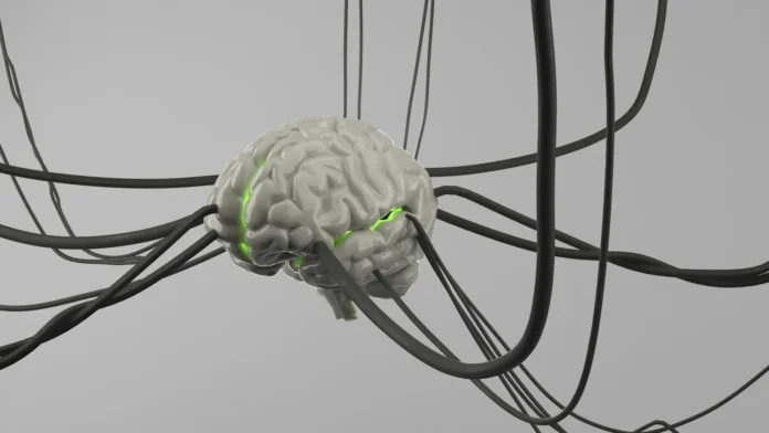 LLM predicen neurociencia