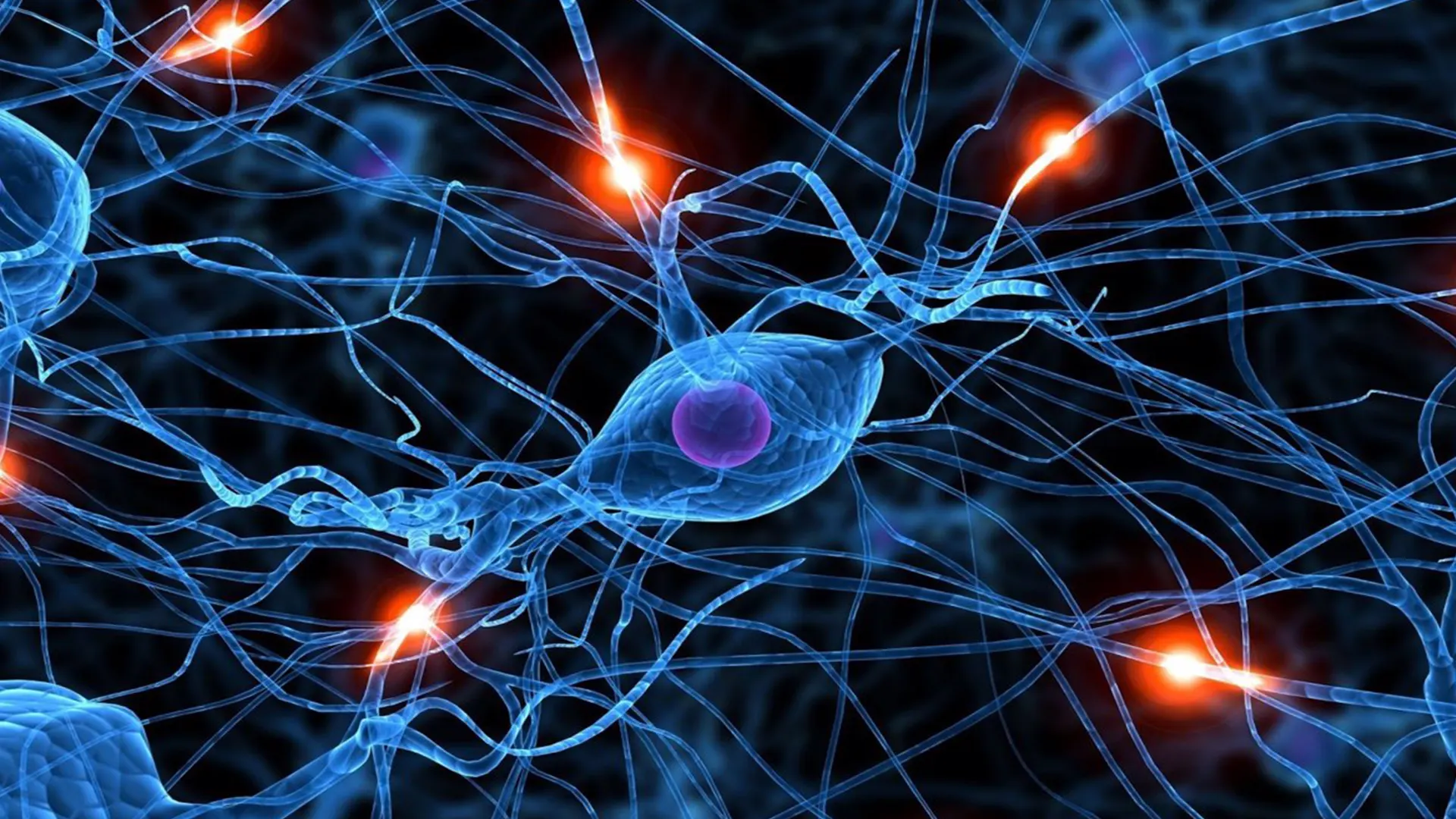 Neuronas artificiales