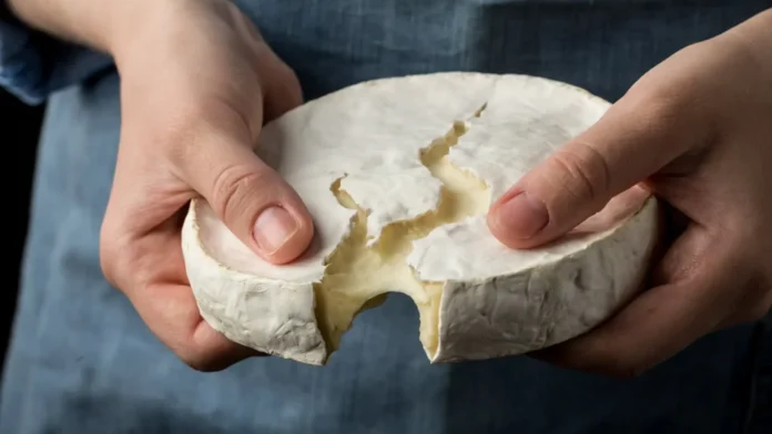 Queso para la memoria - Alimentos para el cerebro - Beneficios del camembert
