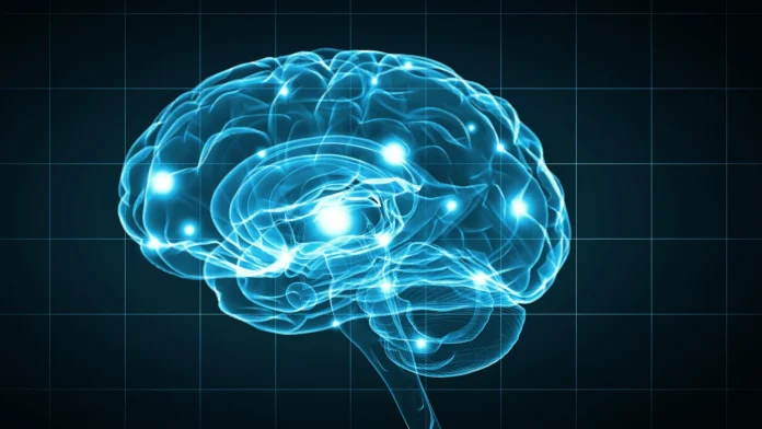 Velocidad de procesamiento cerebral