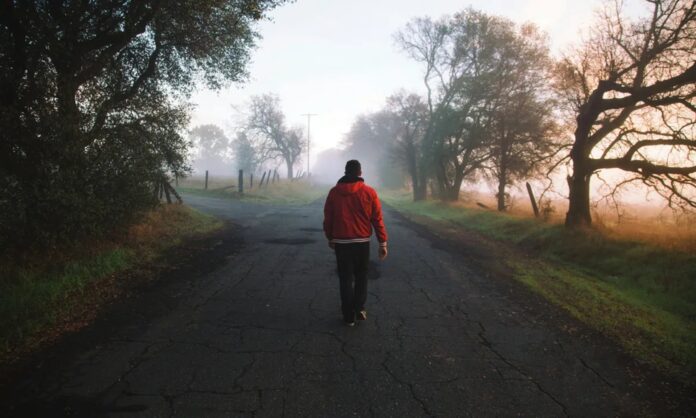 La mayoría de las acciones diarias se basan en hábitos, según la neurociencia