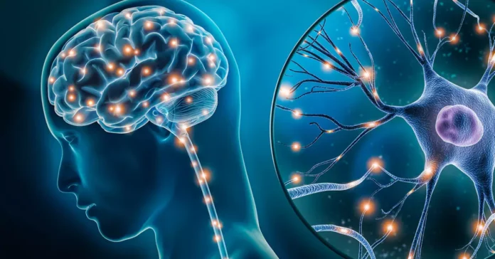 Serotonina poder motivación