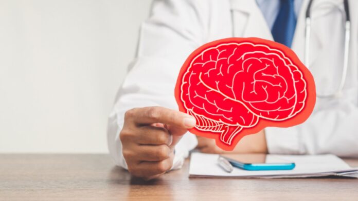 Segundo embarazo genera cambios en el cerebro, según estudio