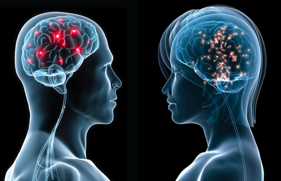 Diferencias cerebro masculino femenino