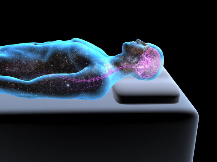 ¿Soñar entrena al cerebro para situaciones de amenaza y supervivencia?