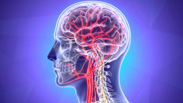 Células Inmunes Cerebro evitan el Alzheimer - Neuroweb