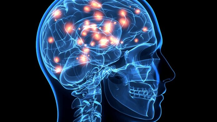 Neuromarketing ciencia consumidor - Neuroweb