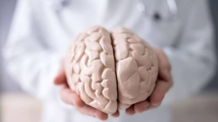 Red - lingüística- cerebro - Neuroweb
