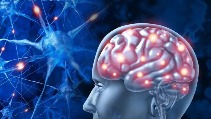 crecimiento de los gliomas