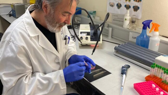 Computación cuántica estudia neuronas de dientes de leche