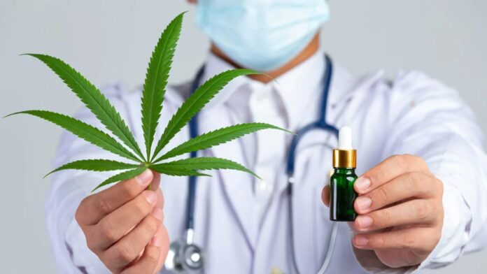 Consumo - Diario - Cannabis - Epilepsia - NeuroWeb
