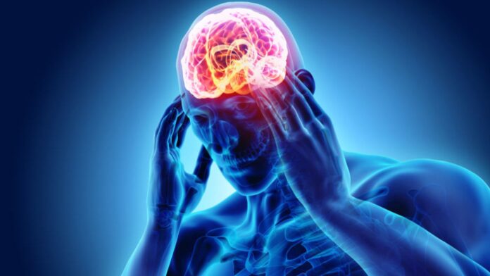 Estrés - Modifica - Cerebro - Memoria - Neuroweb