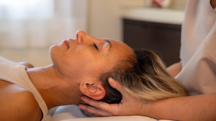 Head - Spa - Sistema - Nervioso - Neuroweb
